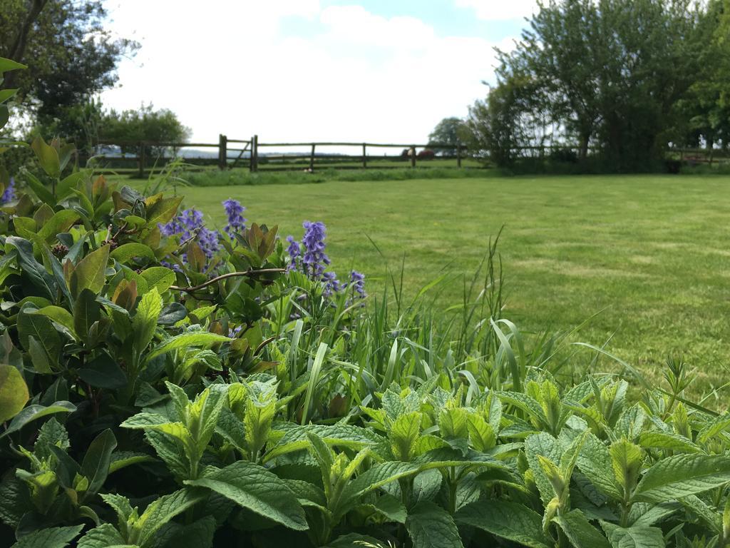 Bed and Breakfast Cotswolds Mine Hill House à Lower Brailes Extérieur photo